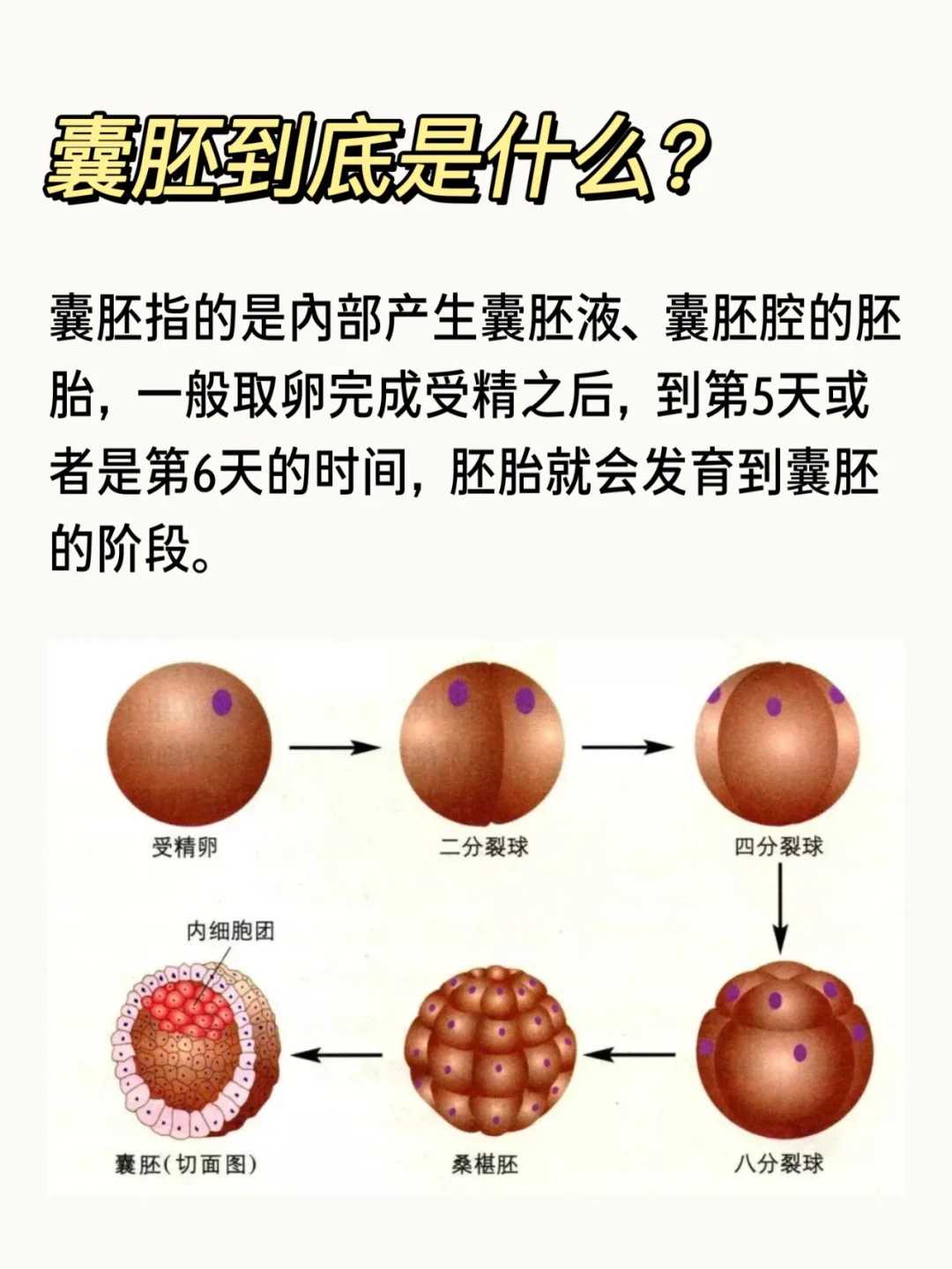 济南借卵试管婴儿医院排名前十榜单发布，附成功率费用参考