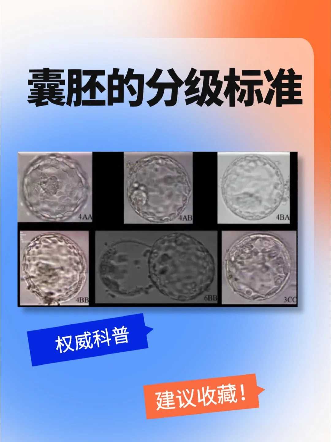 济南供卵助孕中介,2024年济南试管试管婴儿助孕生子助孕机构排名！附试管医院