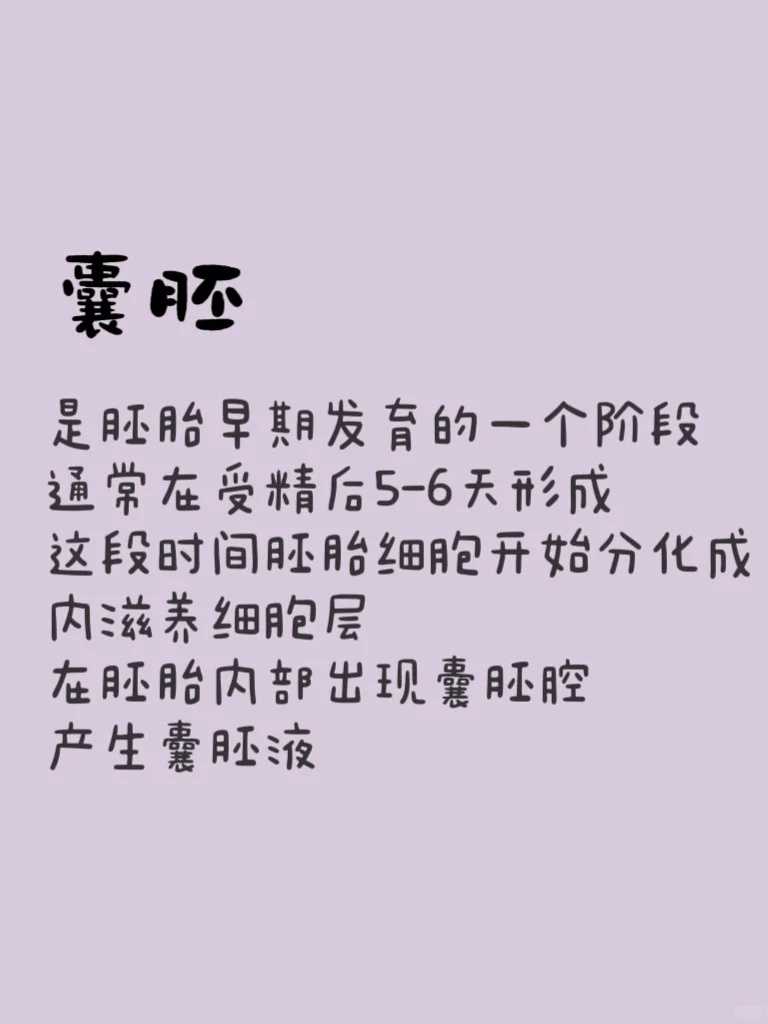 代怀生儿子-纵隔子宫10mm严重么?