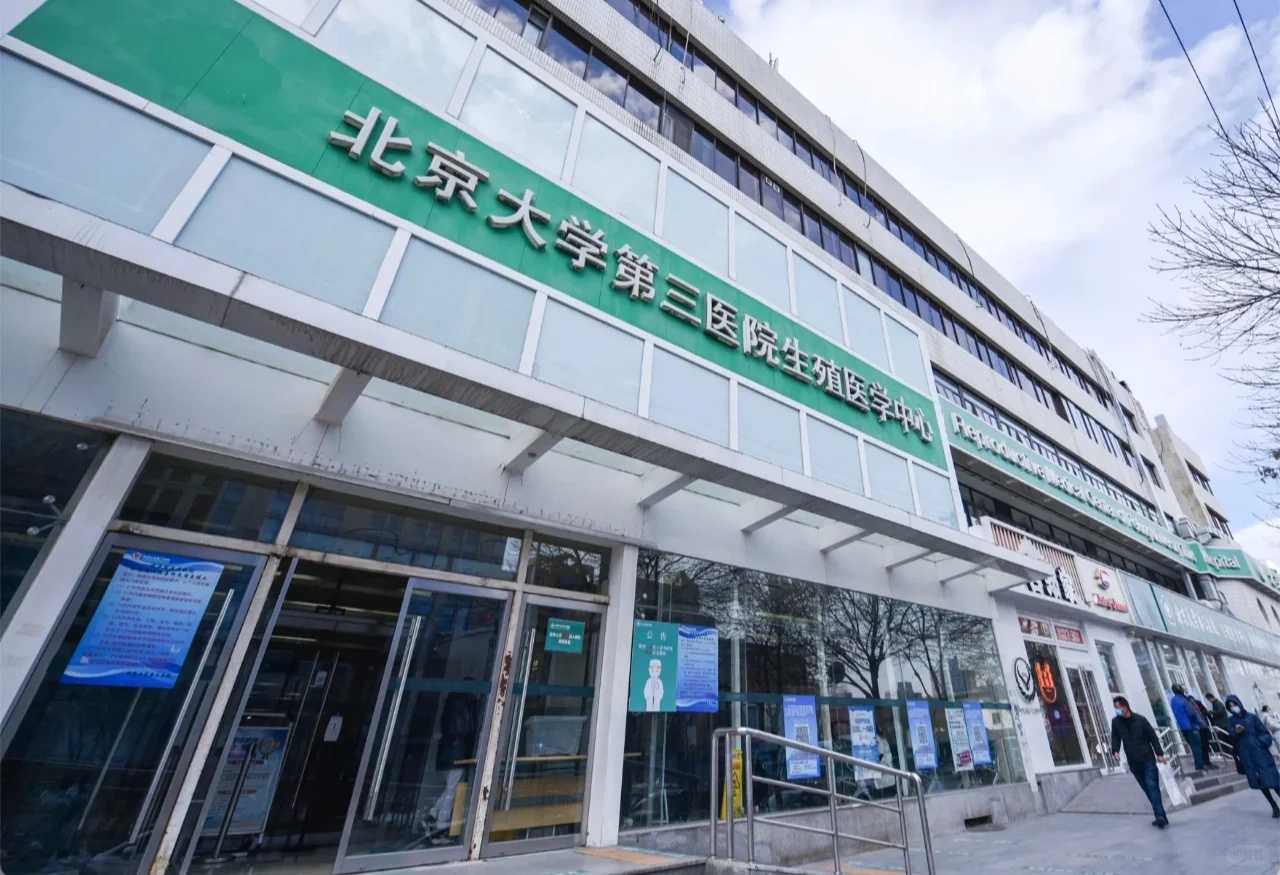 生儿子-胚胎移植后能不能吃牛油果?做试管能不能吃牛油果?