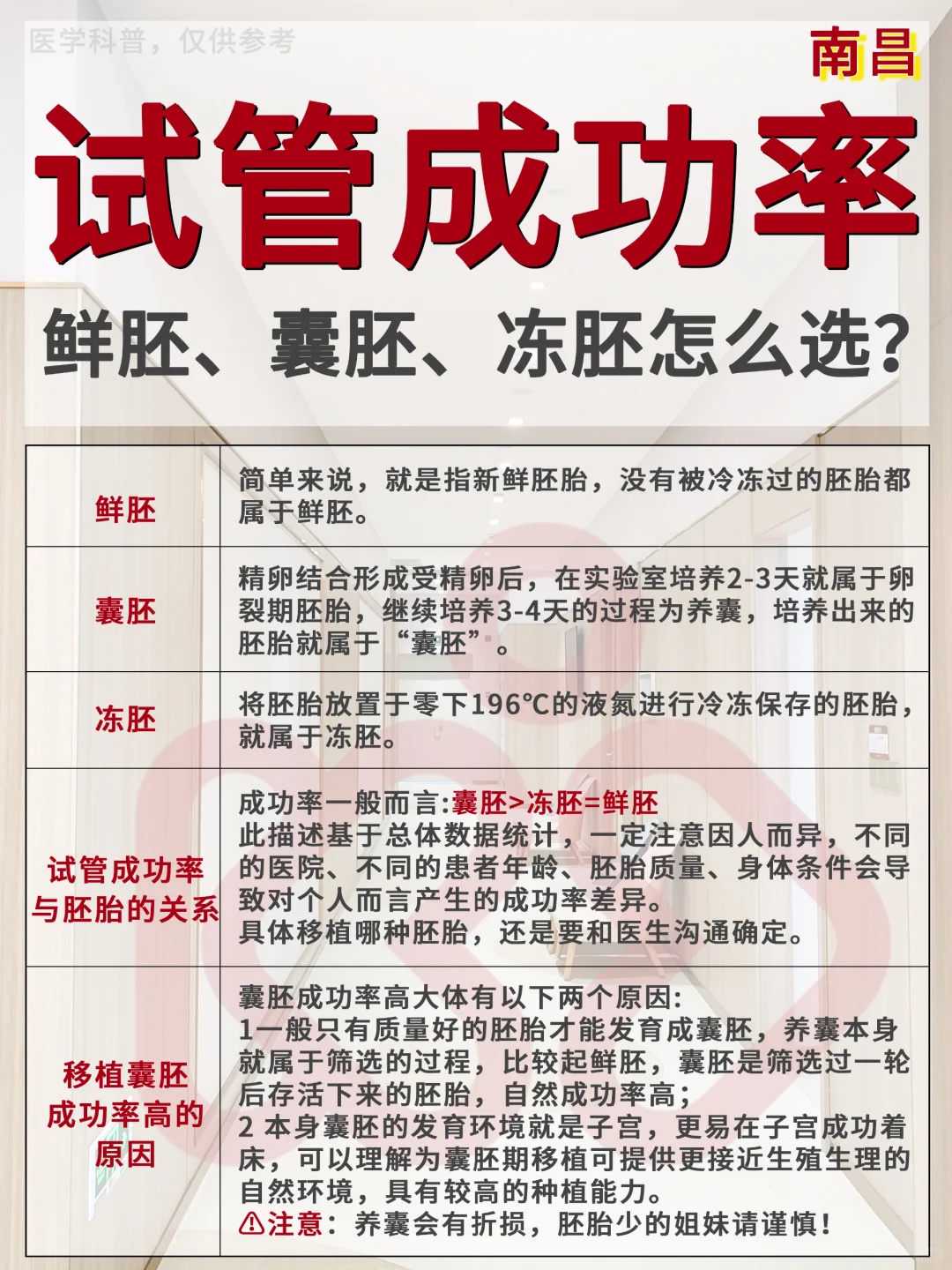 湖南代怀收费多少，用专业打造更美好的未来