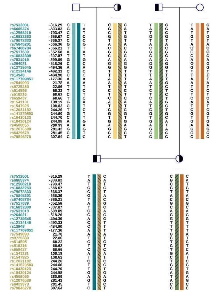 2024济南三代试管婴儿费用报销多少！分别什么价格！