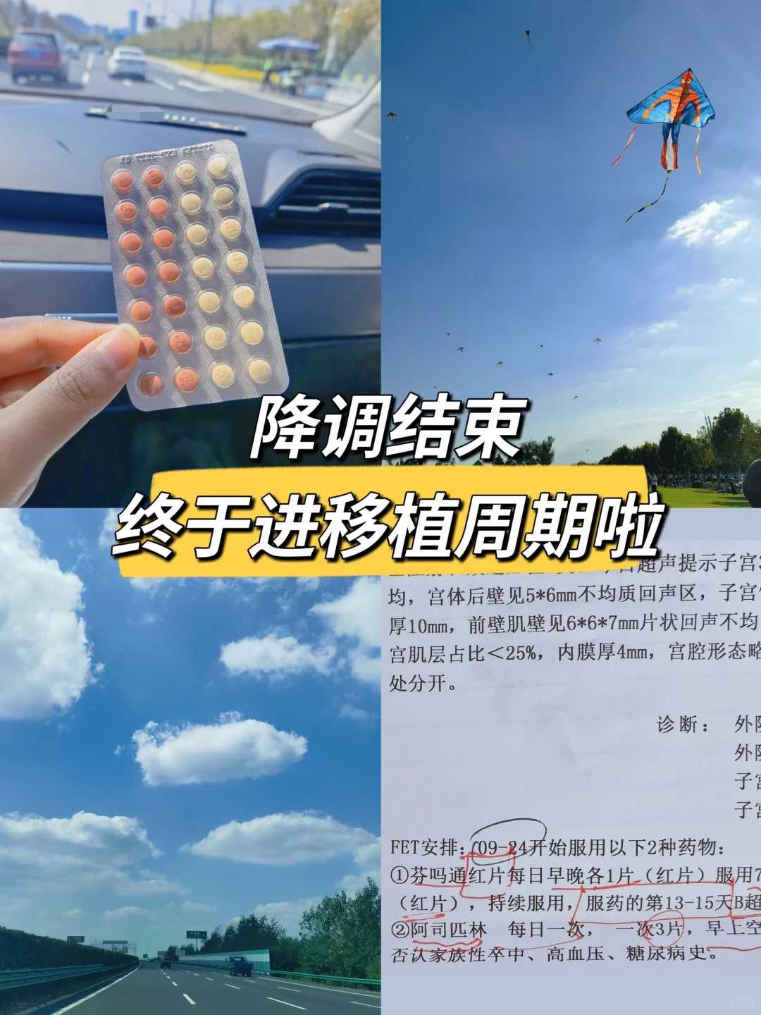 供卵代生-试管婴儿智力如何