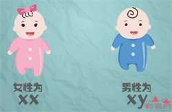 济南怎样借卵子生孩子，国庆期间做泰国试管婴儿，到底应该请多少天假？