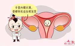 济南借卵子成功率，上海供卵机构就问世纪助孕在哪里啊？