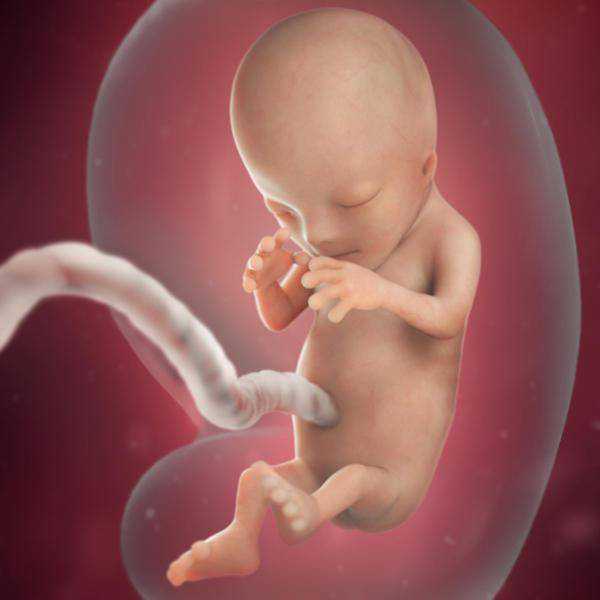 济南代怀孕流程表，试管婴儿取卵过程是怎样的呢？