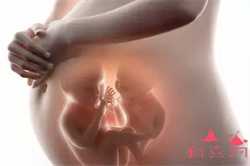 济南代怀孕产子公司微信，人工授精与试管婴儿的区别 现代人谁动了你的孩子